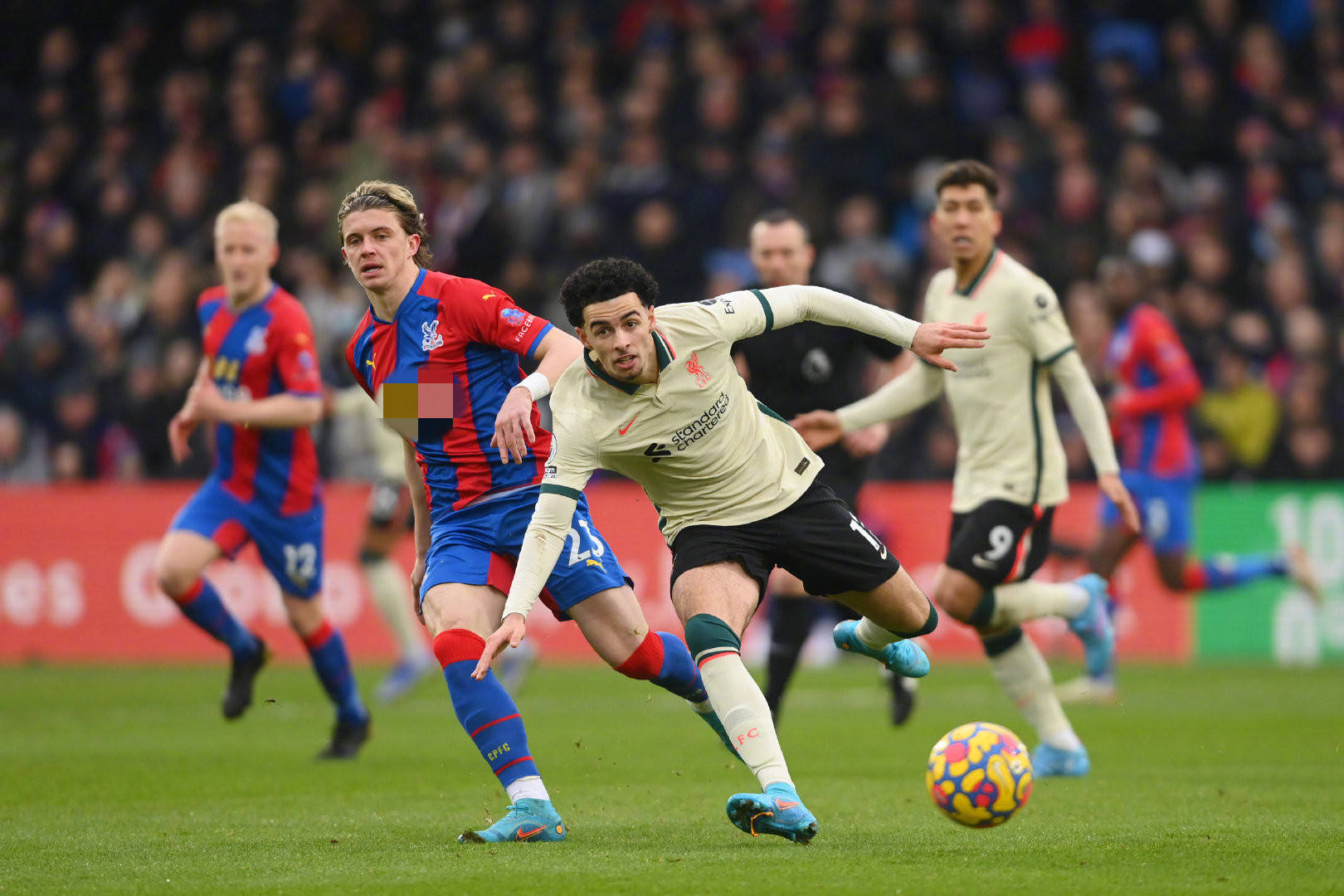 泰伊在年轻 泰伊在年轻